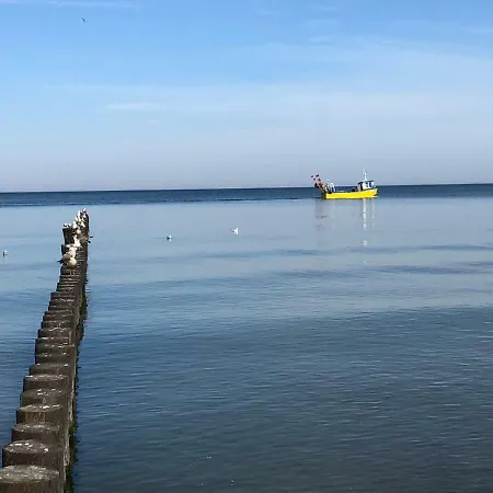 Bd Premium Klifowa *