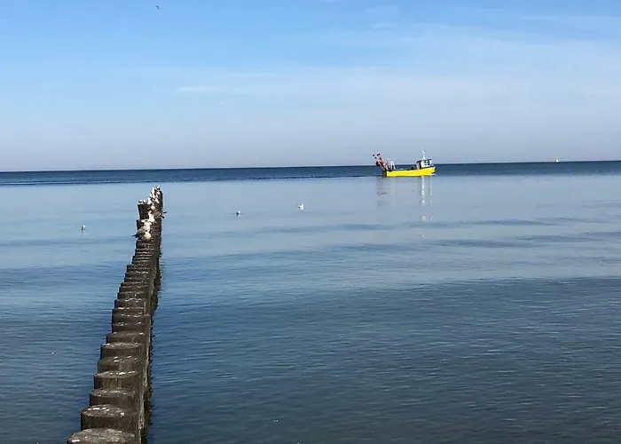 Bd Premium Klifowa *